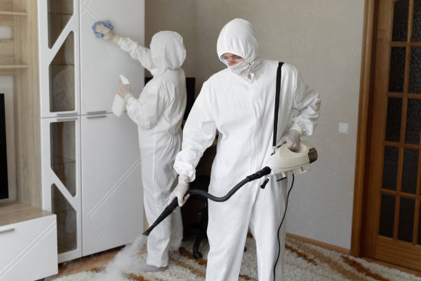 24/7 Emergency Odor Removal experts in Titusville, FL